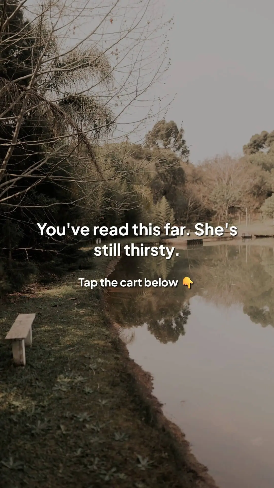 Carousel slide 5